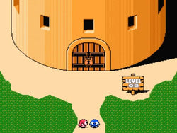 Adventures of Lolo 3 - NES