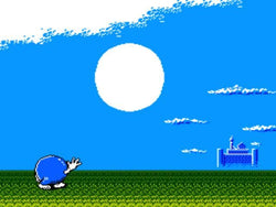 Adventures of Lolo - NES
