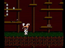 Bible Adventures - NES