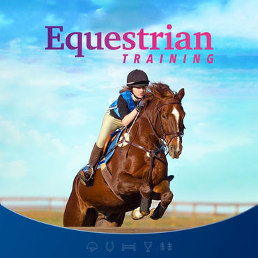 Equestrian Training - Switch