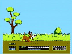 VS. Duck Hunt - NES