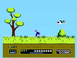 VS. Duck Hunt - NES