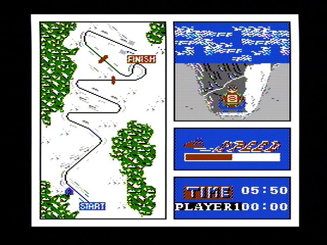 Winter Games - NES