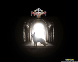 Haunting Ground - PS3