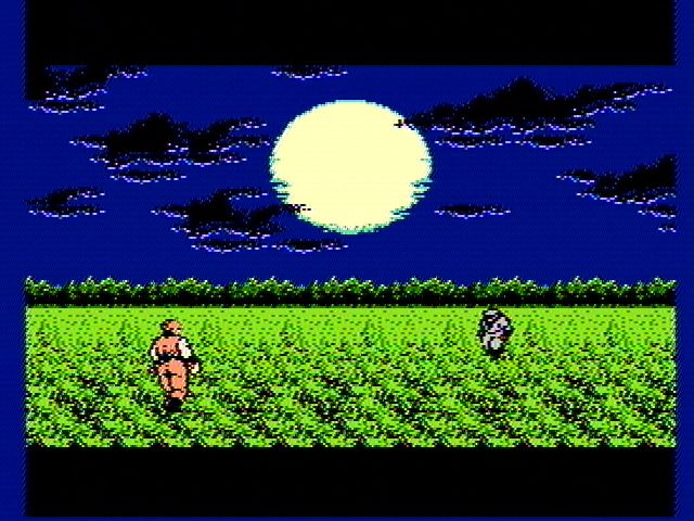 Ninja Gaiden - NES