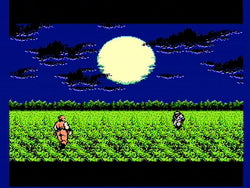 Ninja Gaiden - NES