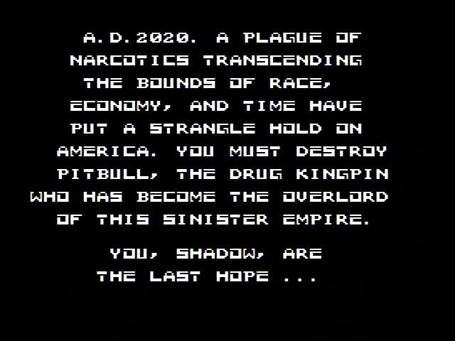Raid 2020 - NES