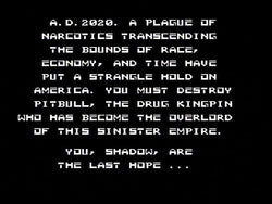 Raid 2020 - NES