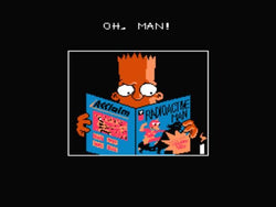 The Simpsons: Bartman Meets Radioactive Man - NES