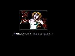 Solstice: The Quest for the Staff of Demnos - NES