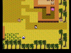 StarTropics - NES