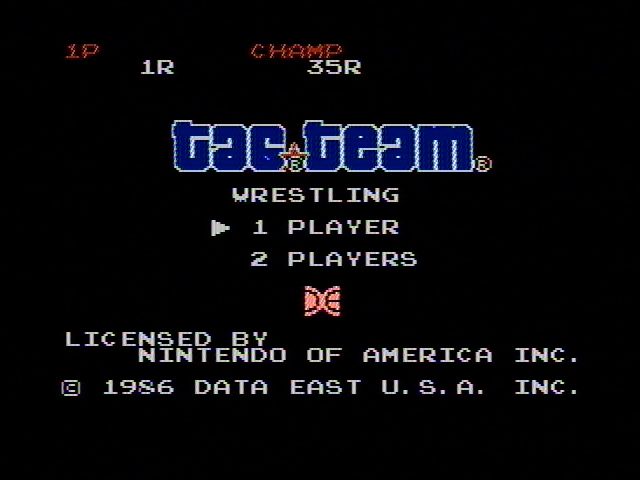 Tag Team Wrestling - NES