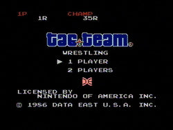 Tag Team Wrestling - NES