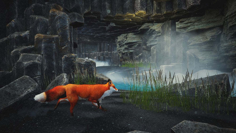 Spirit of the North: Enhanced Edition - PS5
