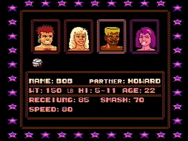 Venice Beach Volleyball - NES