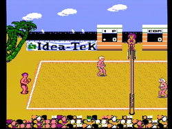Venice Beach Volleyball - NES