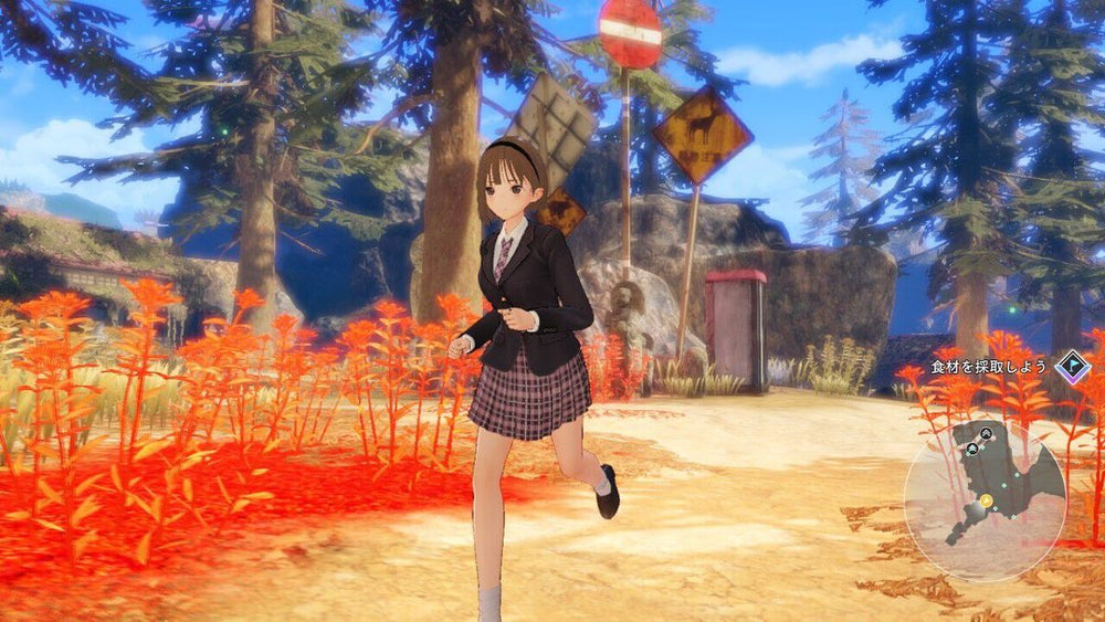 Blue Reflection: Second Light - Switch