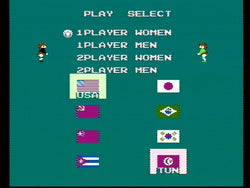 Volleyball - NES