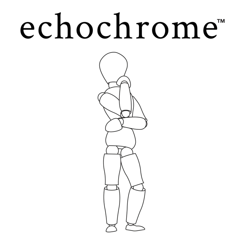 echochrome - PS5