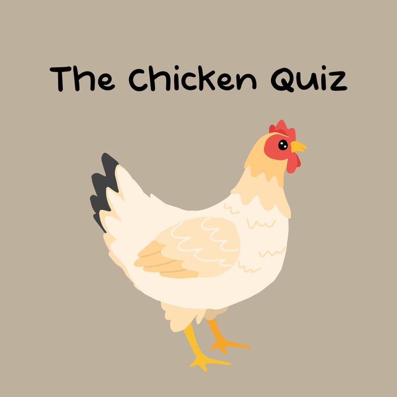 The Chicken Quiz - PS5