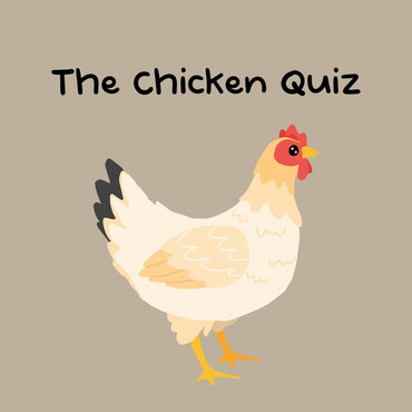 The Chicken Quiz - PS5