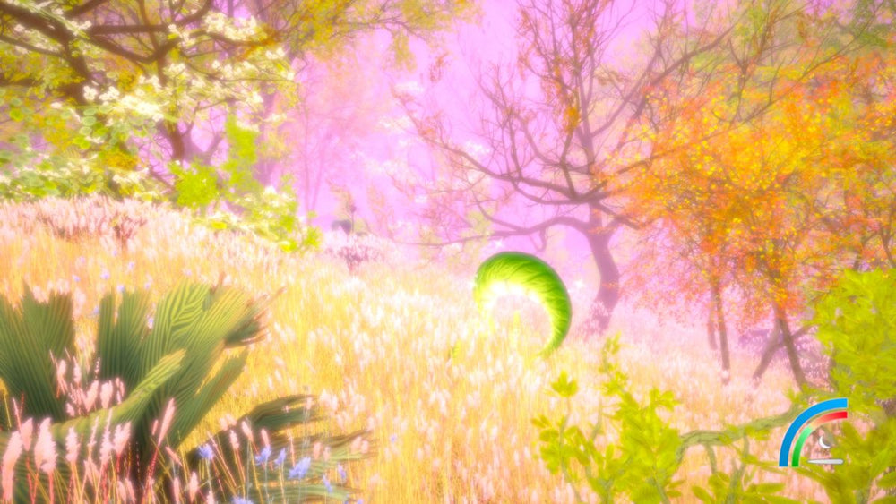 Hidden Treasures in the Forest of Dreams - PS5