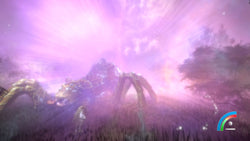 Hidden Treasures in the Forest of Dreams - PS5