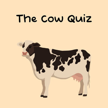 The Cow Quiz - PS5