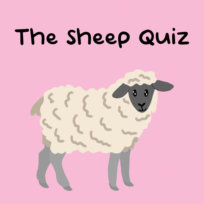 The Sheep Quiz - PS5