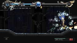 Record of Lodoss War: Deedlit in Wonder Labyrinth - PS5