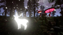 Lucid Cycle - PS5