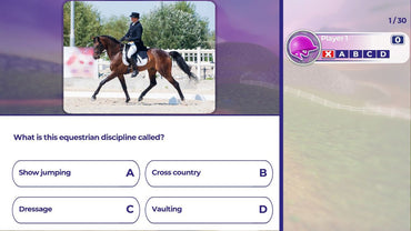 Equestrian Training - Switch