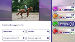 Equestrian Training - Switch