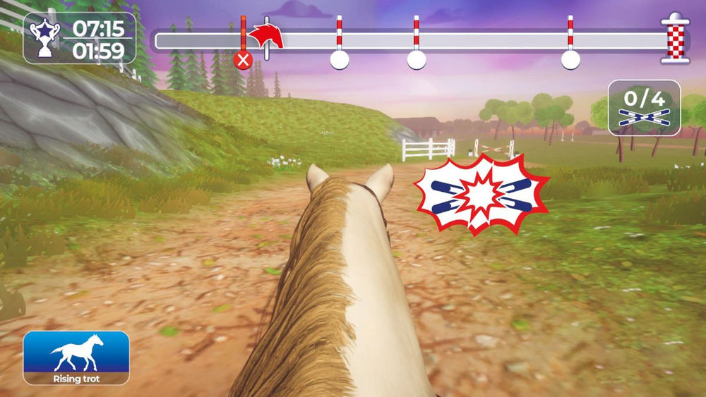 Equestrian Training - Switch