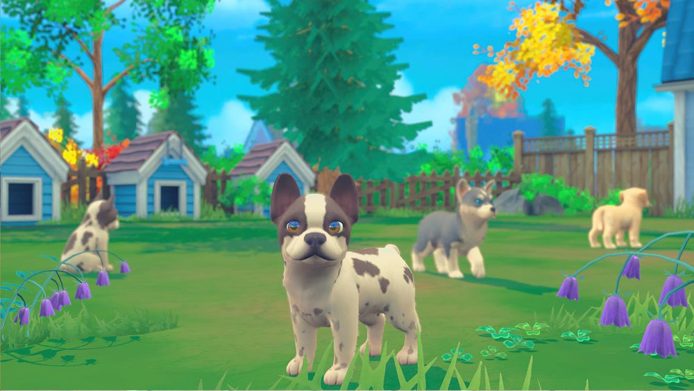 My Universe: Puppies and Kittens - Switch