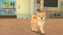 My Universe: Puppies and Kittens - PS4