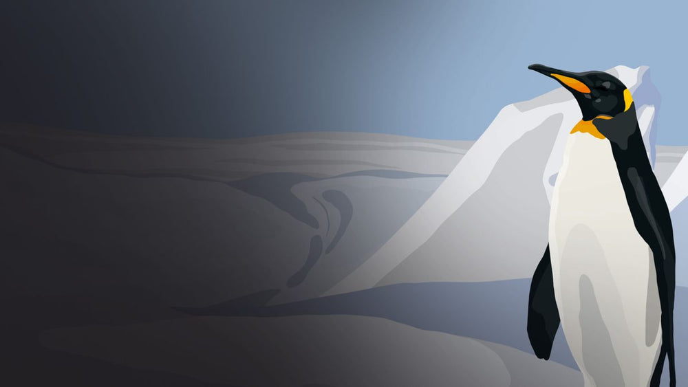 The Penguin P - PS5