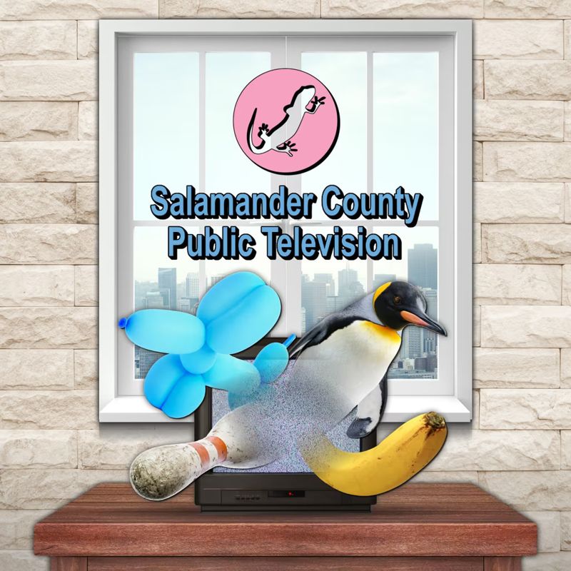 Salamander County Public Television - PS5