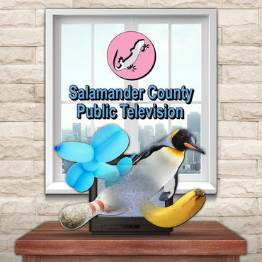 Salamander County Public Television - PS5