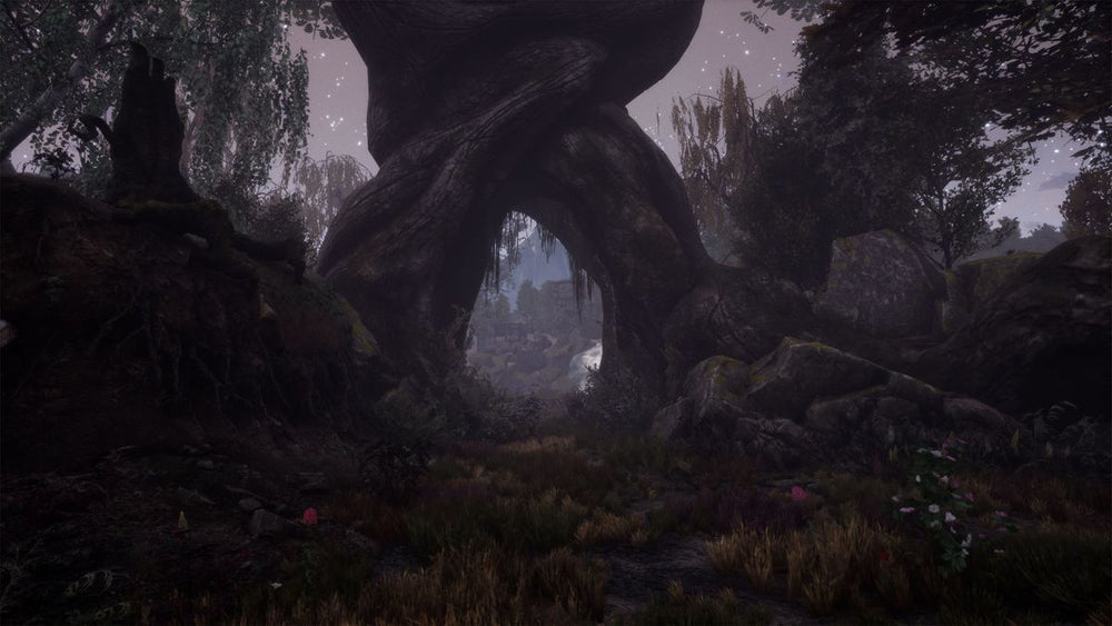 The Dead Tree of Ranchiuna - PS5