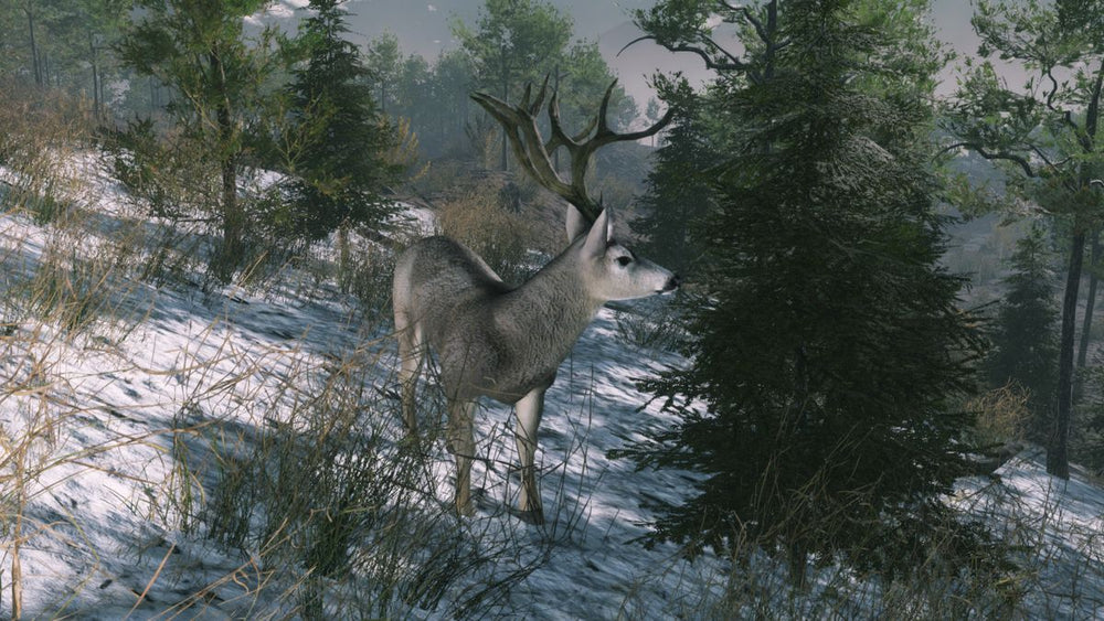 Pro Deer Hunting: Out West - PS5