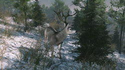 Pro Deer Hunting: Out West - PS5
