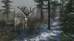 Pro Deer Hunting: Out West - PS5