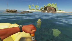 Stranded Deep - Switch