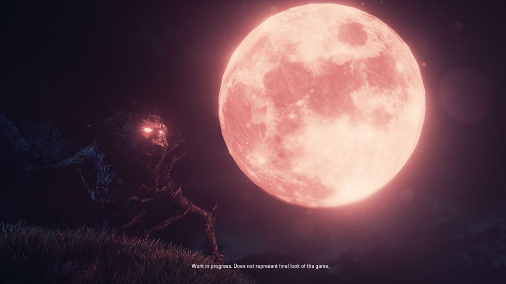 The Origin: Blind Maid - PS5