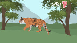 Tiger T, The - PS5