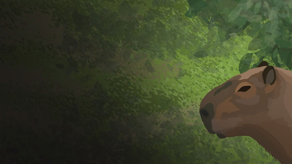 The Capybara P - PS5
