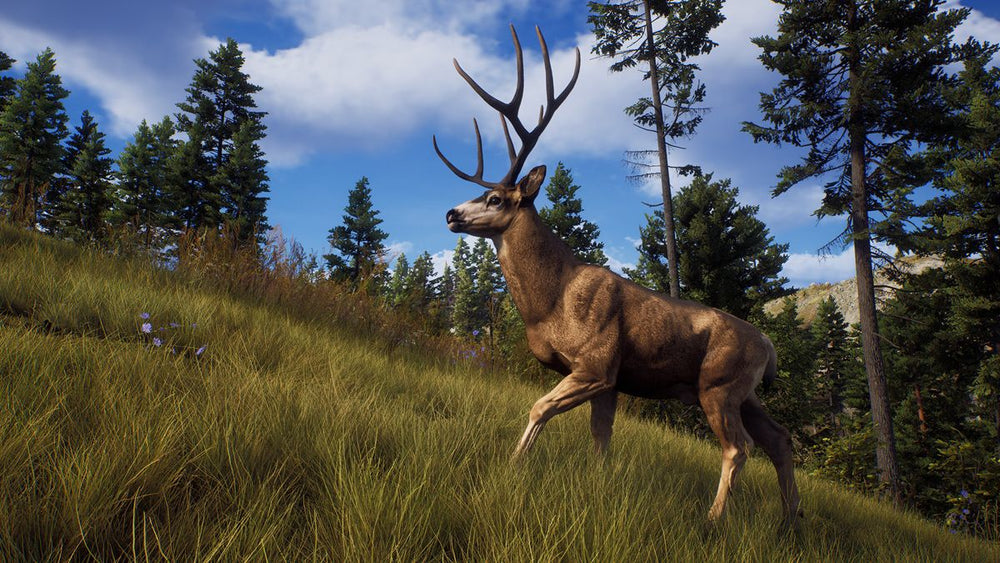 Way of the Hunter - PS5