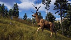 Way of the Hunter - PS5