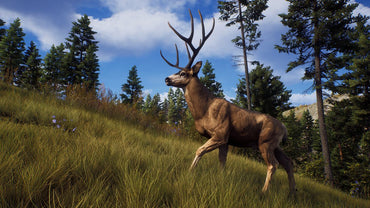 Way of the Hunter - PS5